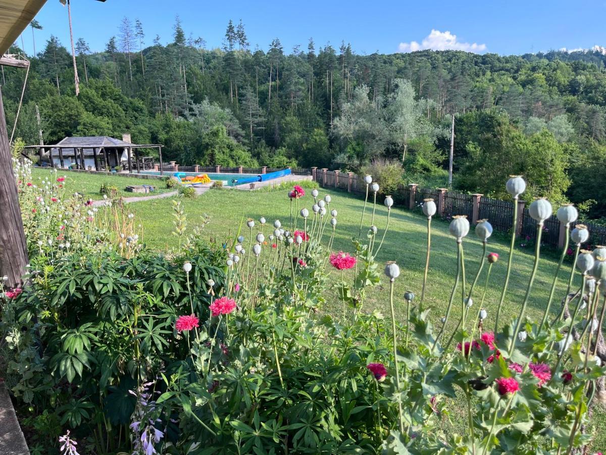 فيلا Agriturismo Hidden Paradise تريفنا المظهر الخارجي الصورة