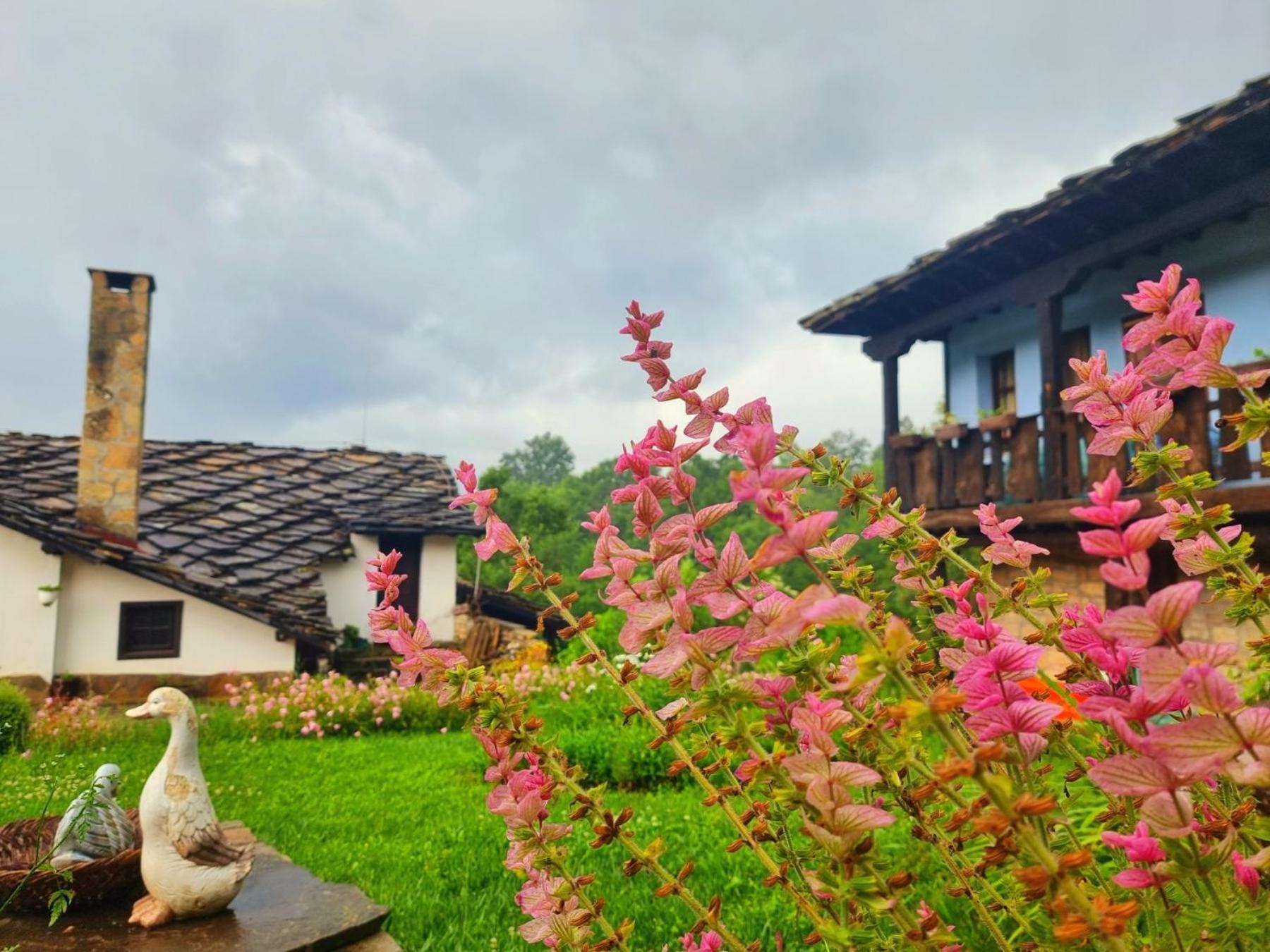 فيلا Agriturismo Hidden Paradise تريفنا المظهر الخارجي الصورة