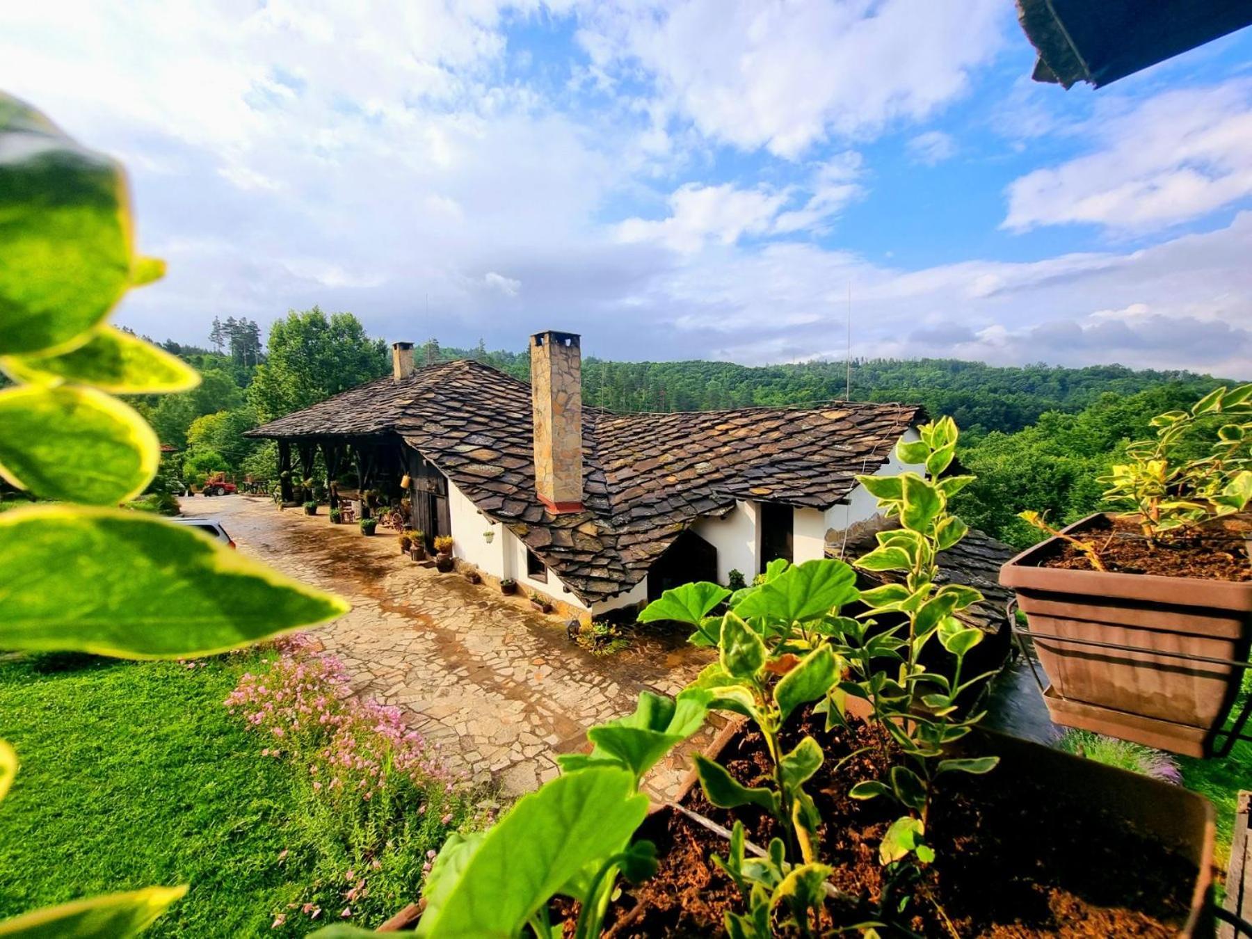 فيلا Agriturismo Hidden Paradise تريفنا المظهر الخارجي الصورة