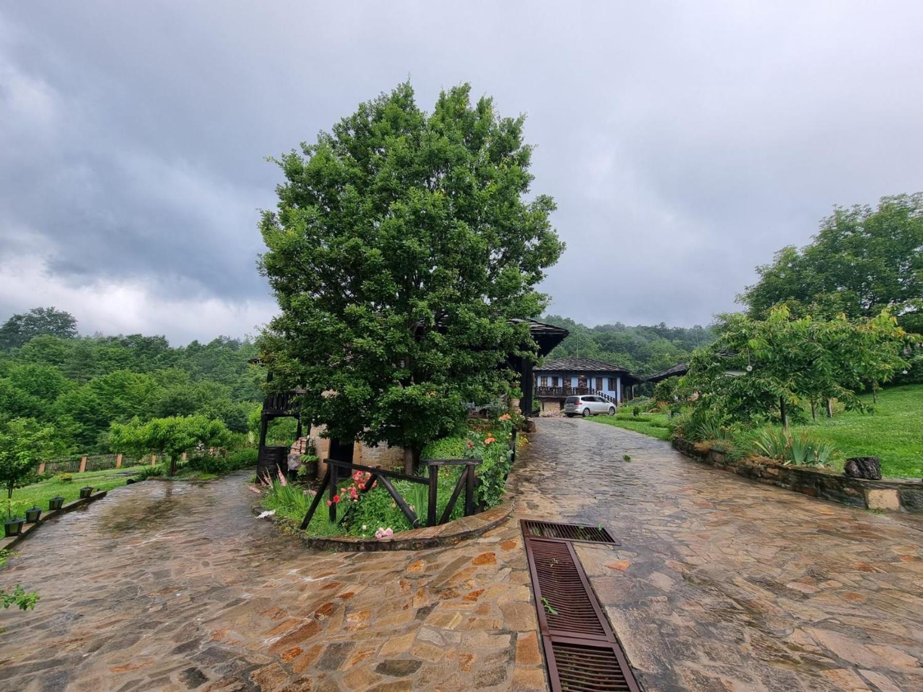 فيلا Agriturismo Hidden Paradise تريفنا المظهر الخارجي الصورة