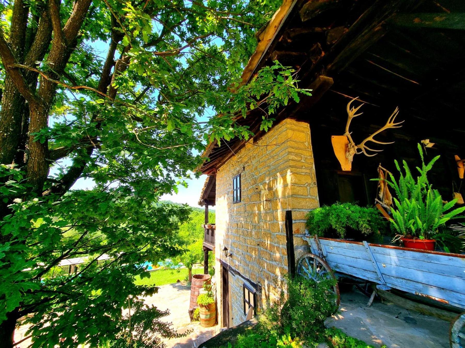 فيلا Agriturismo Hidden Paradise تريفنا المظهر الخارجي الصورة