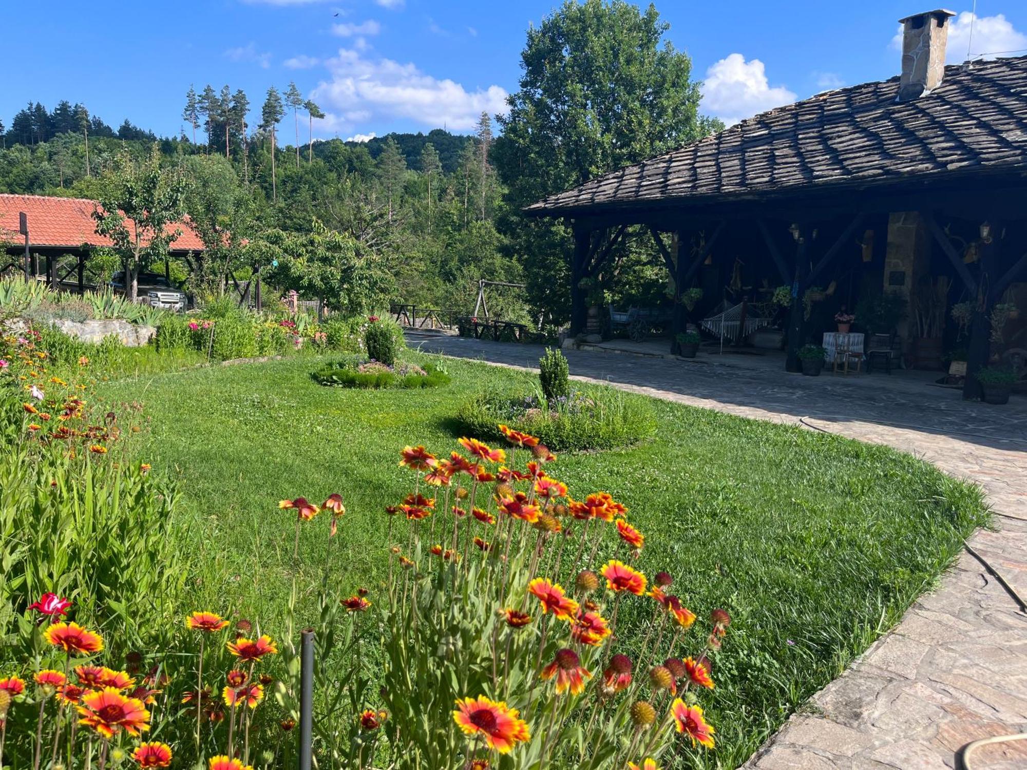 فيلا Agriturismo Hidden Paradise تريفنا المظهر الخارجي الصورة